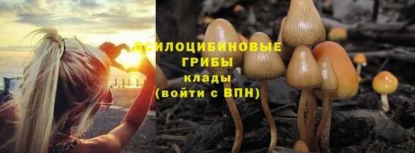 хмурый Абдулино