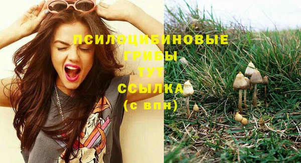 хмурый Абдулино